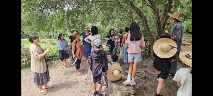 "Siku moja Milimani nchini Korea Kusini: Rejesha mwili na akili yako kupitia kilimo cha asili, kutafakari na kujenga nyumba za udongo"