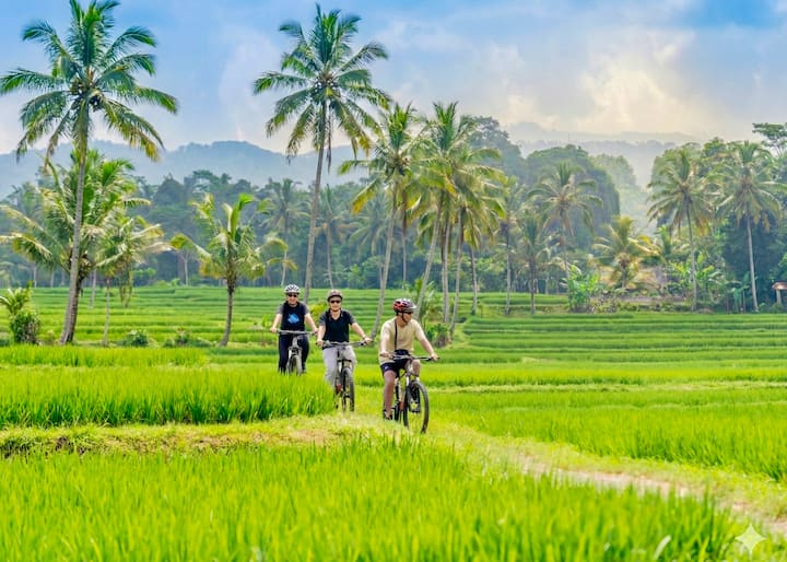 Ciclismo cuesta abajo en Ubud: campos de arroz y campo