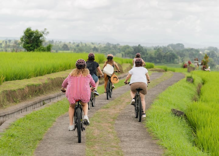 Ciclismo cuesta abajo en Ubud: campos de arroz y campo