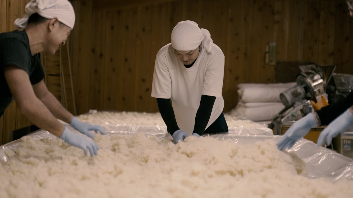 Sake tasting and brewery tour at Iwate Meijo Co., Ltd.