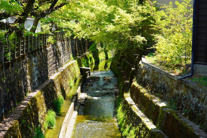 Unlock Takayama: 5-Senses Morning Walk in English · ☆4.89