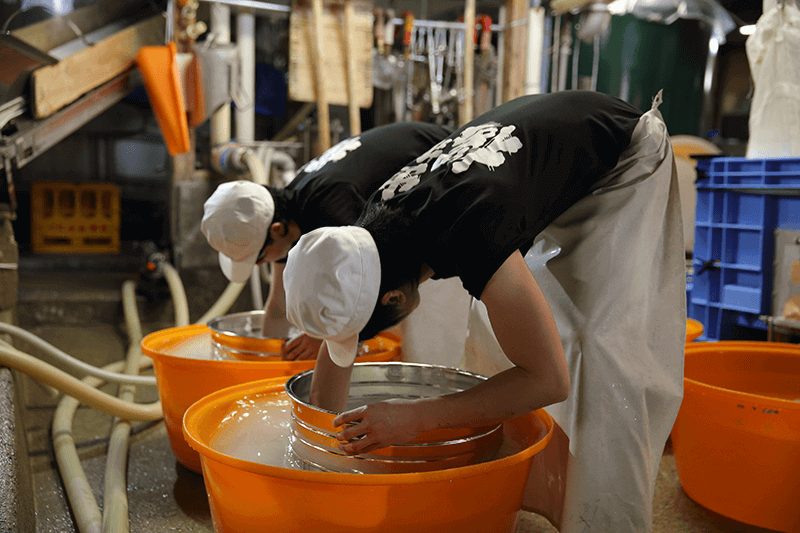 Experience at Dewa Sakura Brewery
Sake tasting & brewery tour