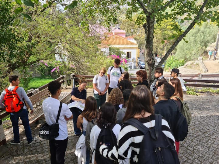 გასეირნება ბუნებაში და კულტურული ღირსშესანიშნაობების მონახულება პორტიმაოსთან
