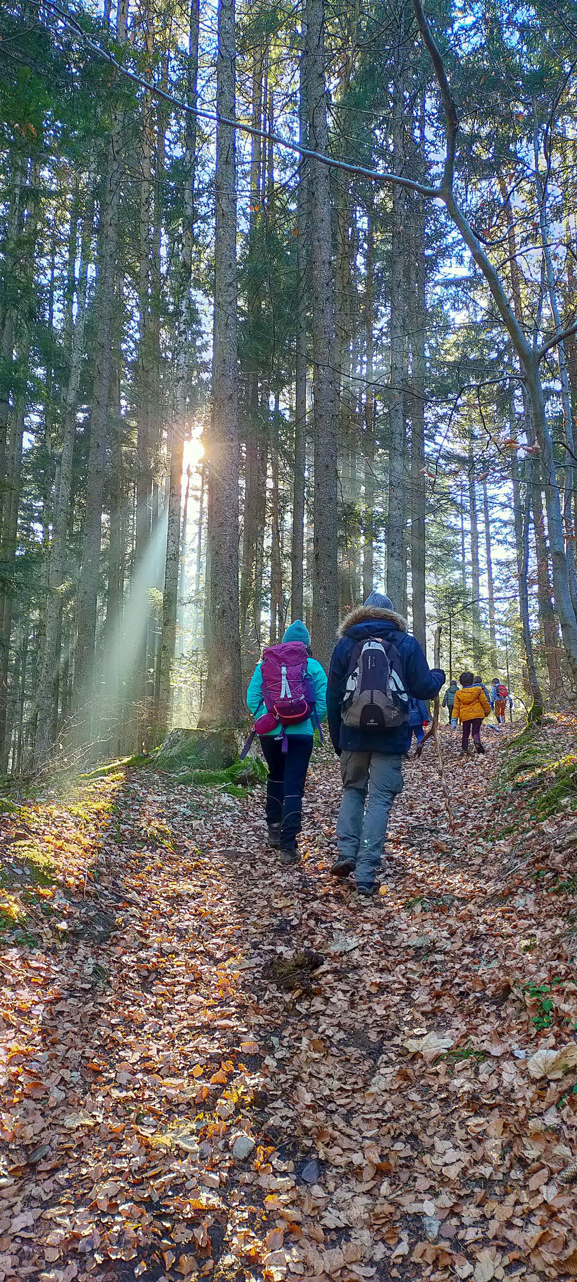 Admire Grenoble from the mountains with a pro