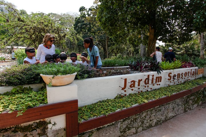 Разходете се сред чудесата на природата в Рио