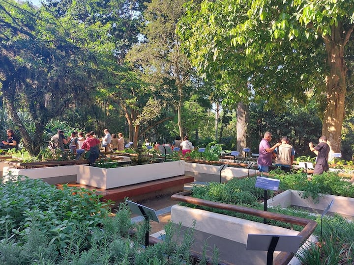 Разходете се сред чудесата на природата в Рио