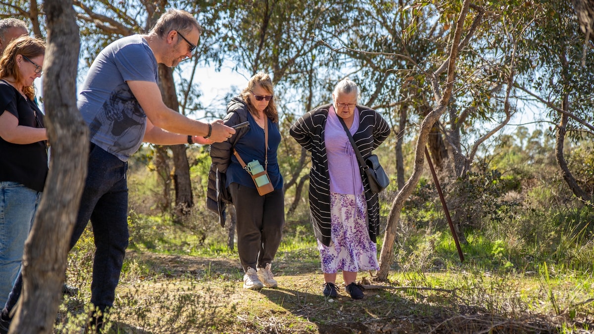 Bendigo Chinese Heritage Tour - Sundays