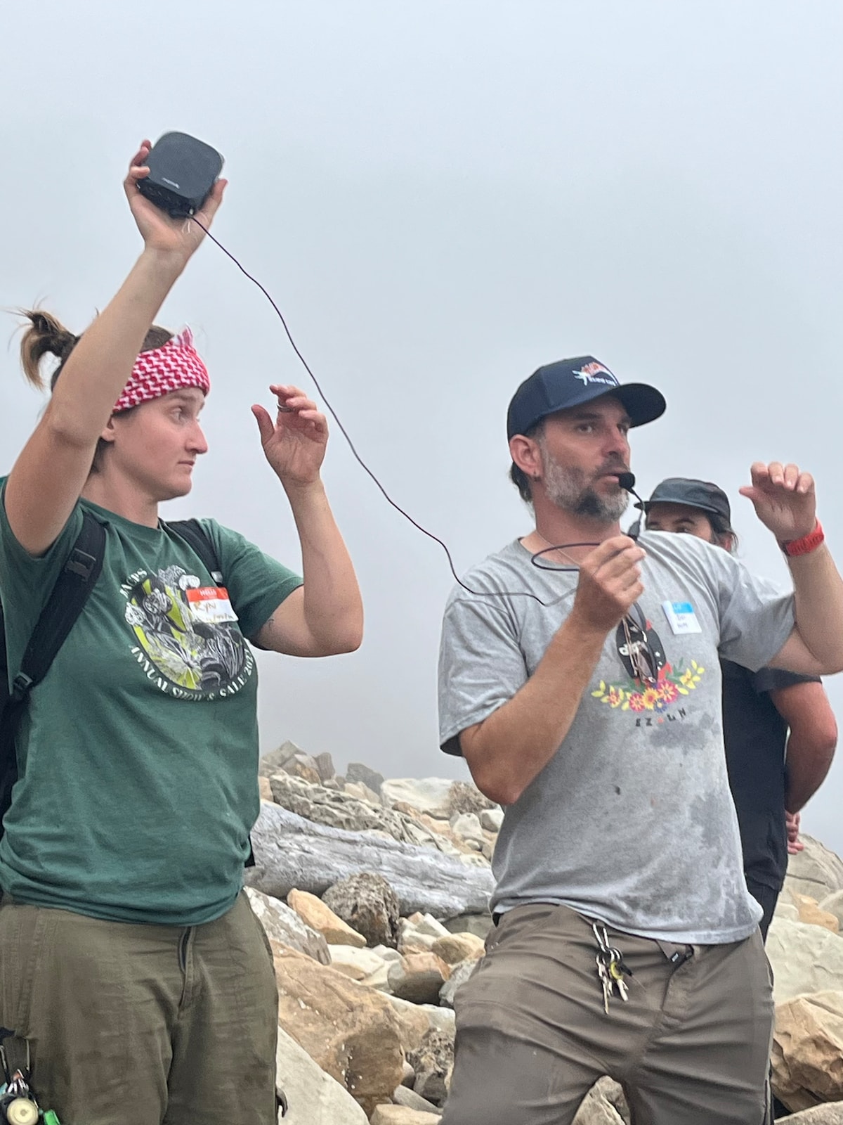 Sea Urchin Uni Foraging