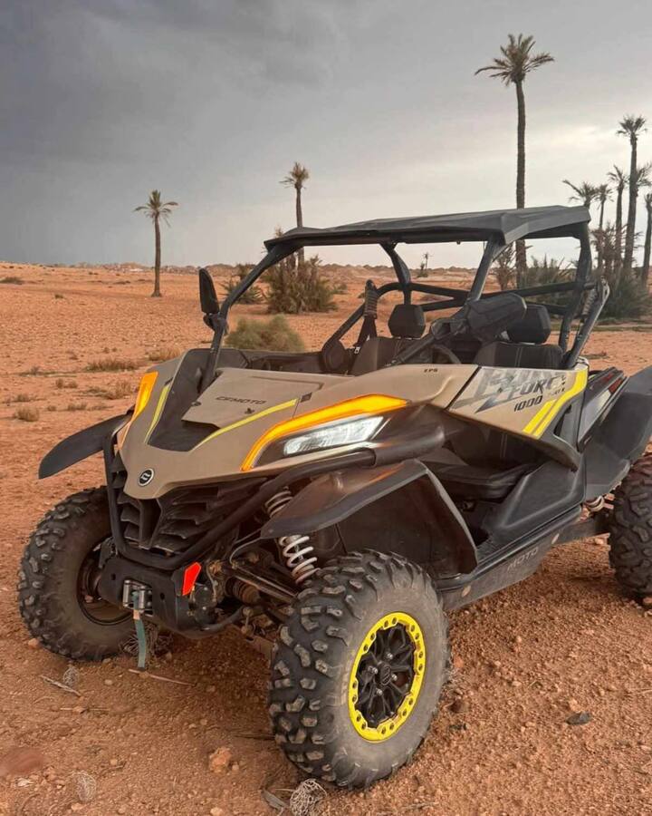 Изживейте приключението с бъги в Палмерай