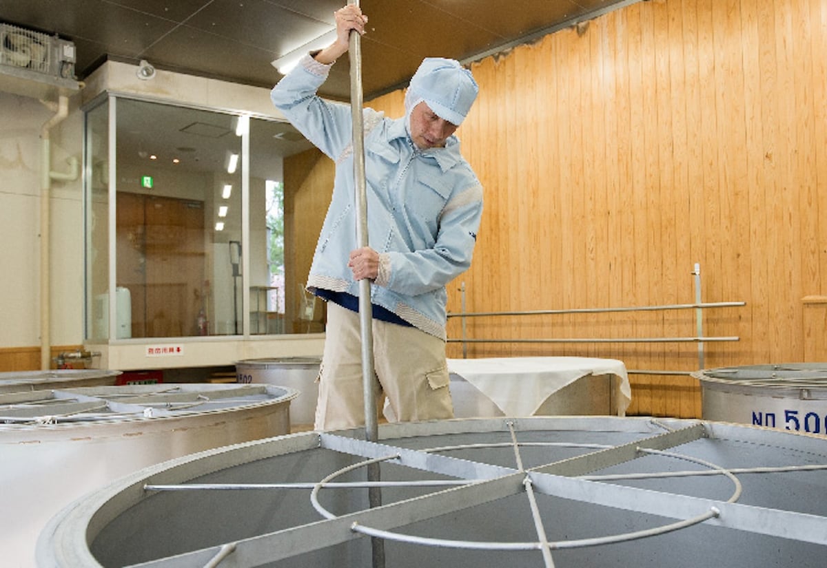 Experience at Kikusui Sake Brewery
Sake tasting & brewery tour