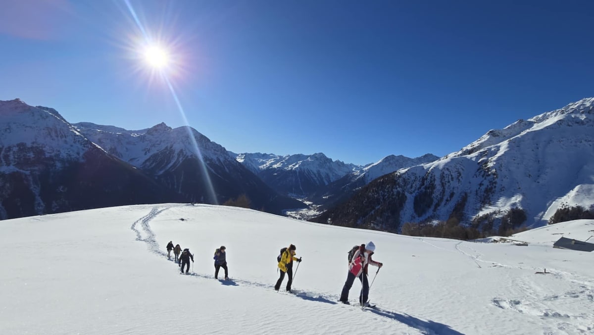 Snowshoe off beaten trails with a guide