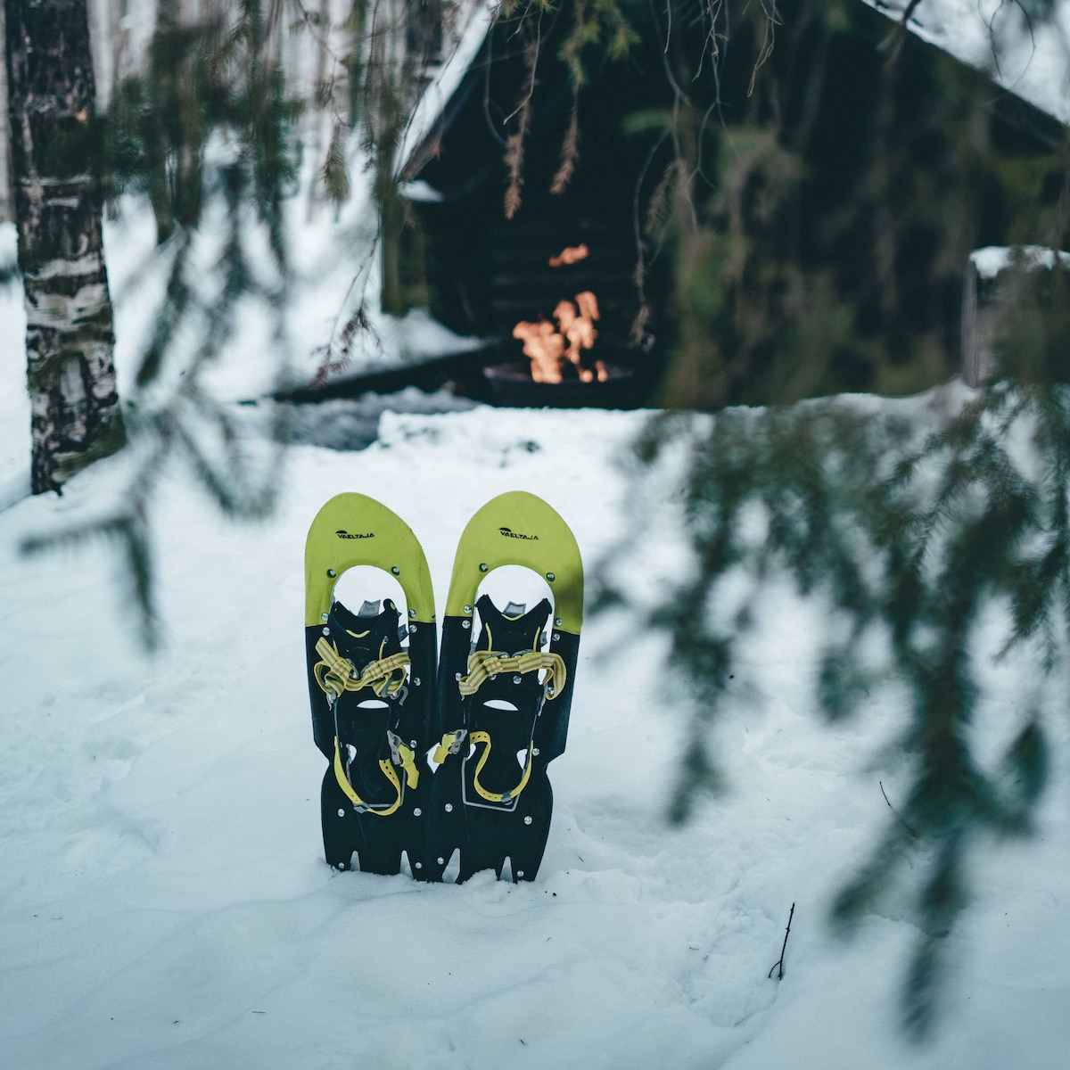 Snowshoeing in a Instagrammable forest with BBQ
