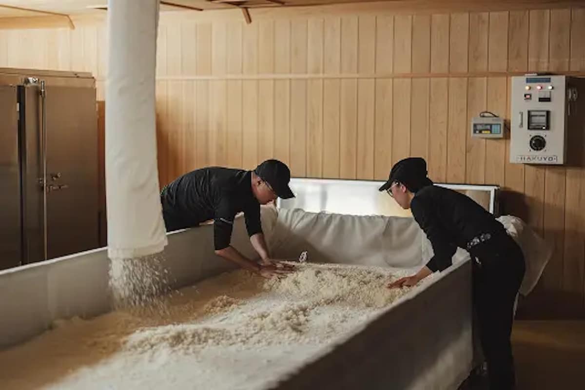 Experience Yamanashis famous sake
Sake tasting & brewery tour