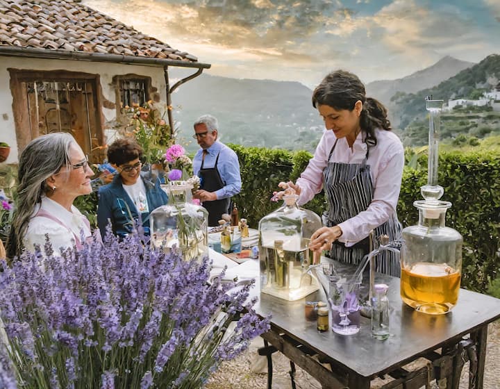 Curso de destilación de plantas medicinales
