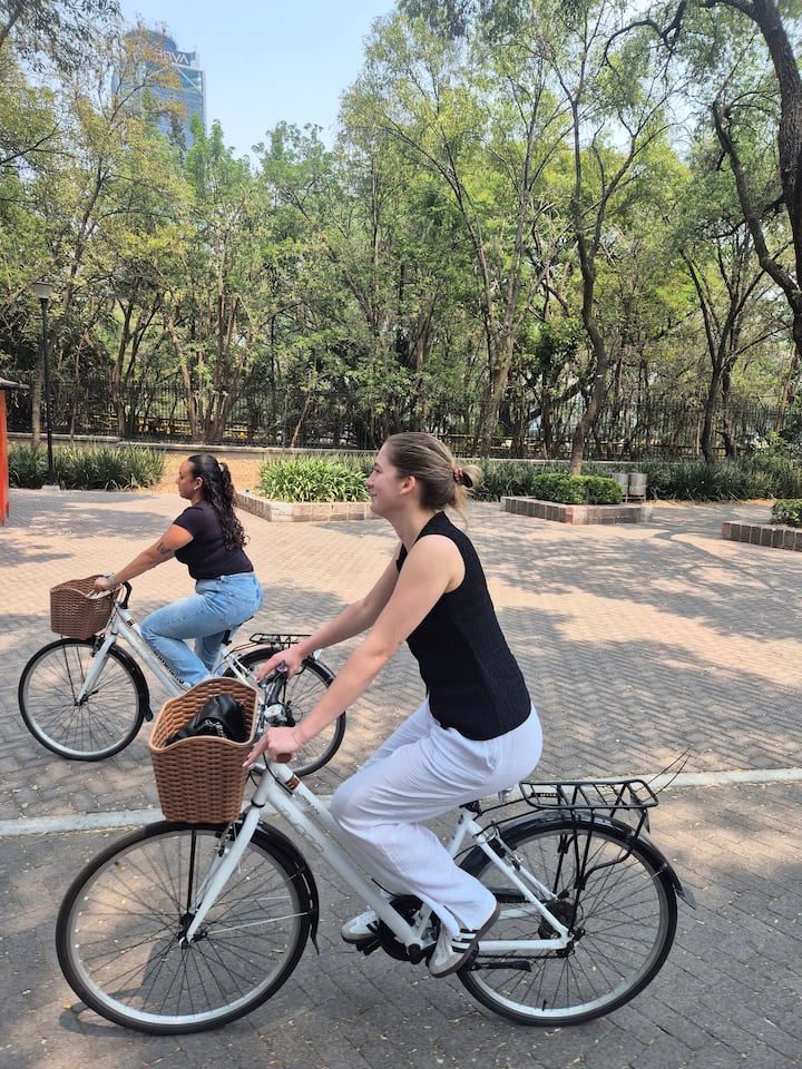 ველო ტური, რომელსაც ყველაფერი აქვს