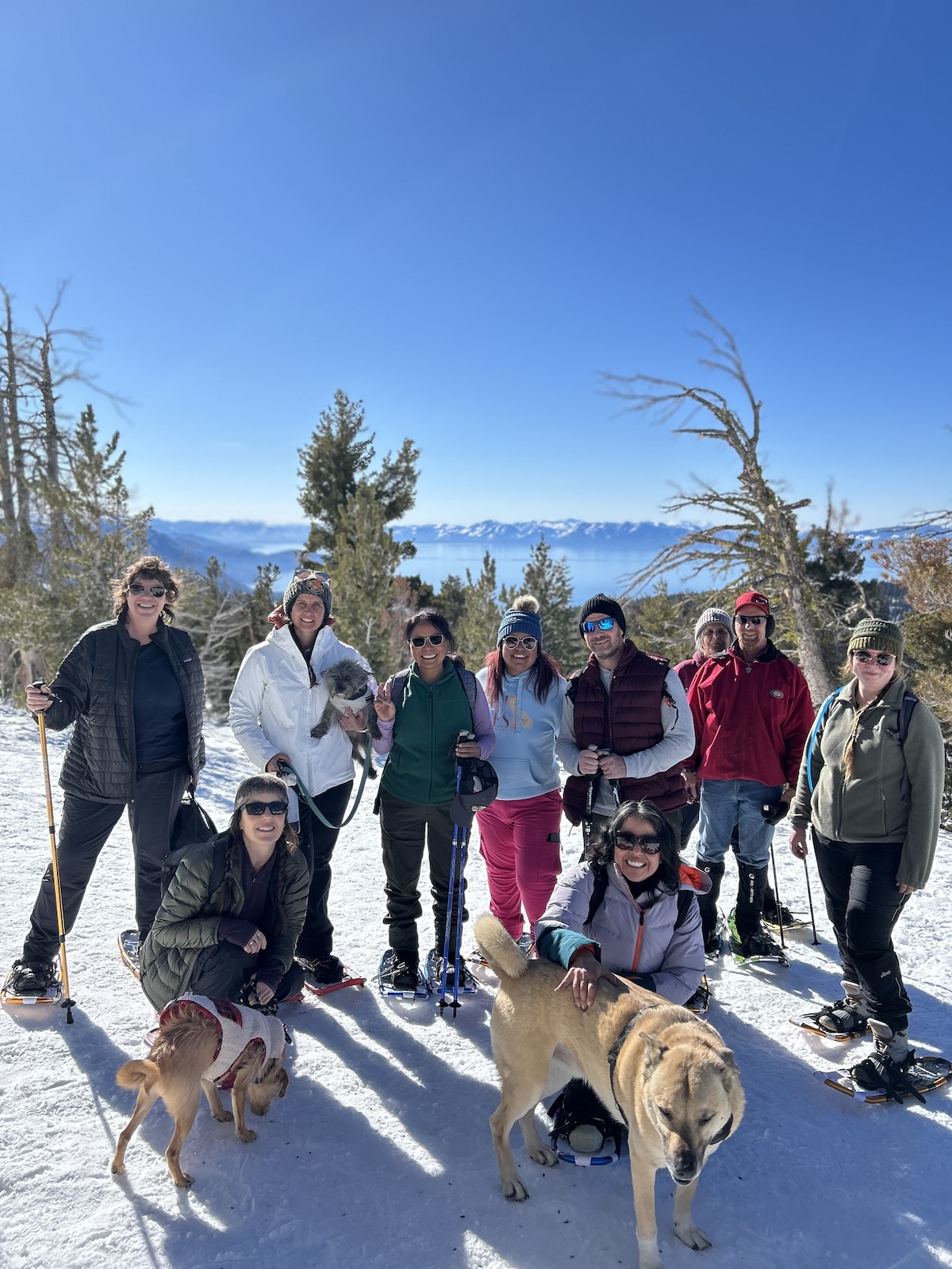 Donner Snowshoe Adventure