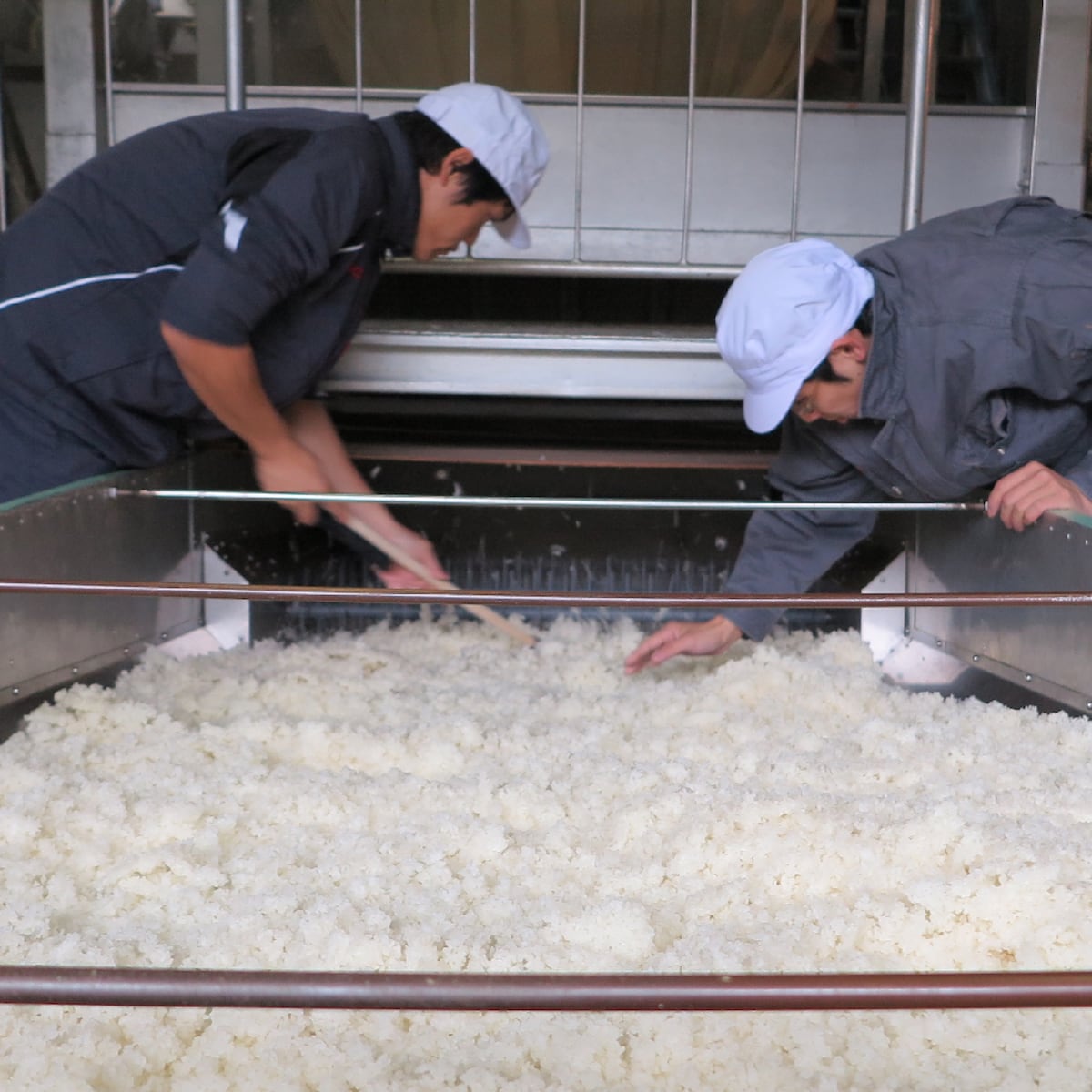 Experience at Yamada Brewery
Sake tasting & brewery tour