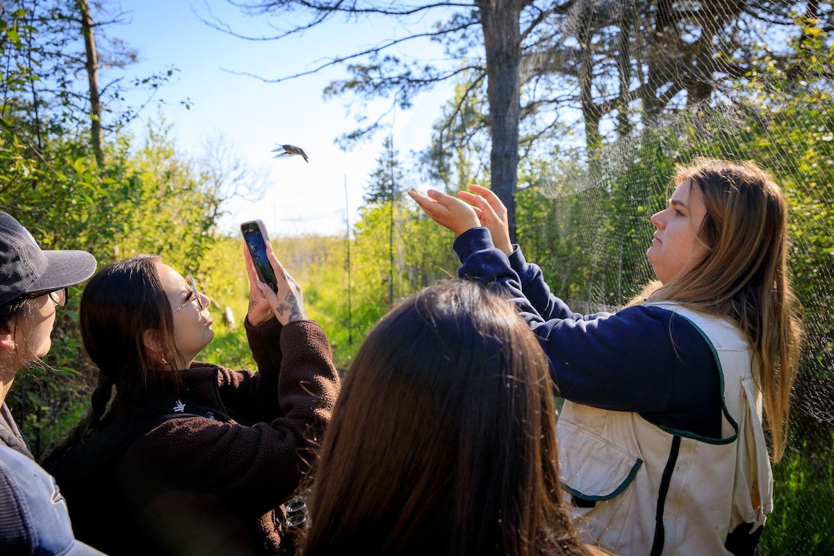 Spot native birds with a naturalist