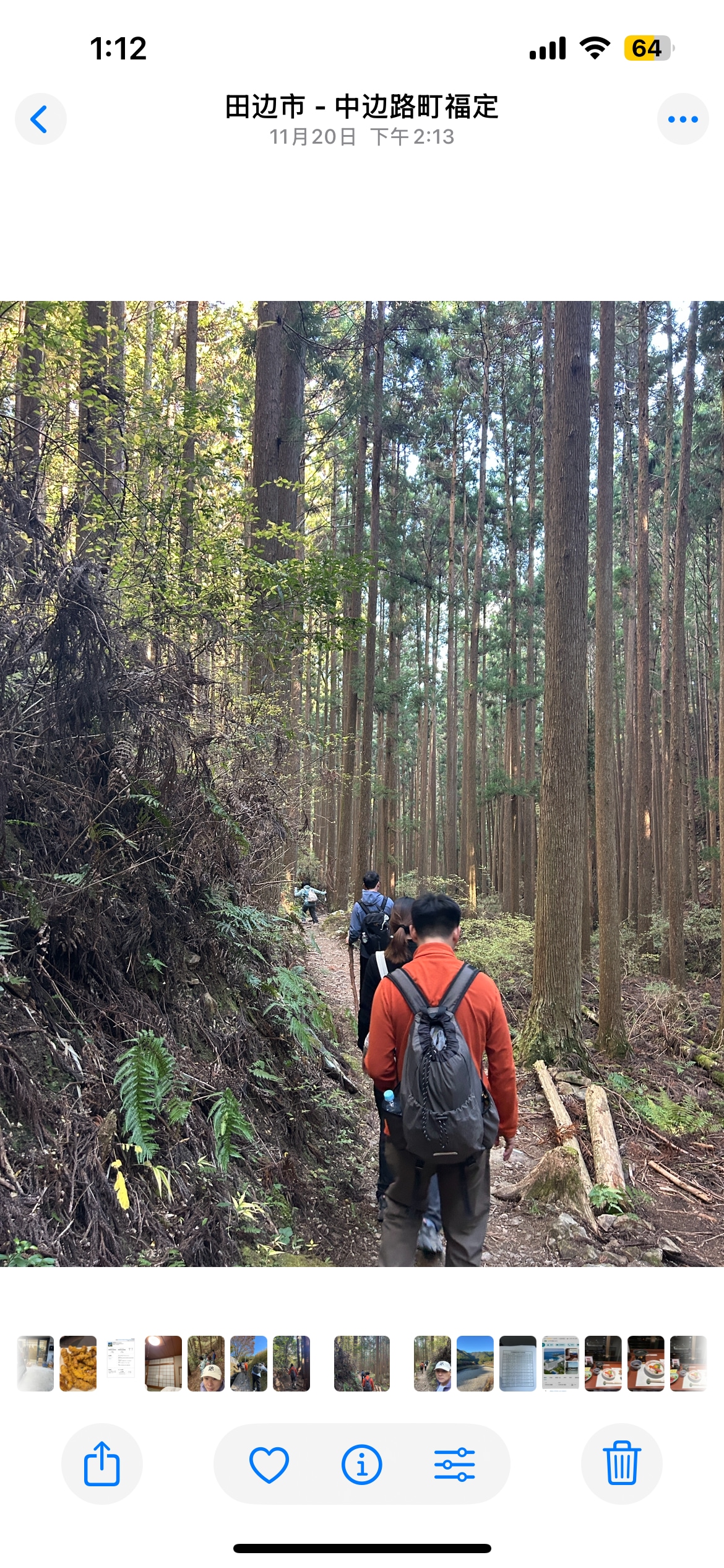 Beginner-Friendly Kumano Kodo Trek Expert Guide