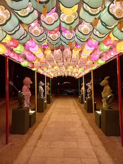 Recorrido en grupo pequeño: Gyeongbokgung y el centro de Seúl
