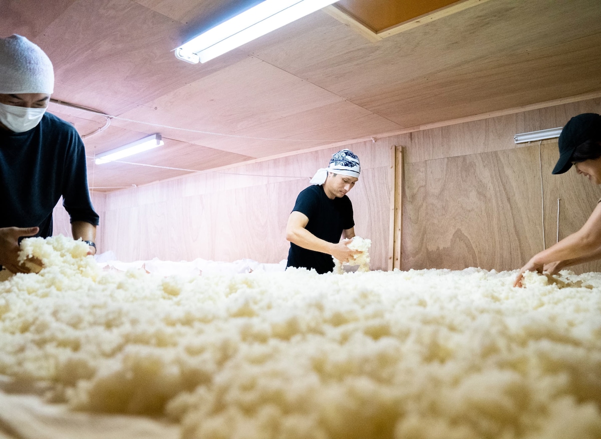 Experience at a mountain brewery 
Sake tasting & brewery tour