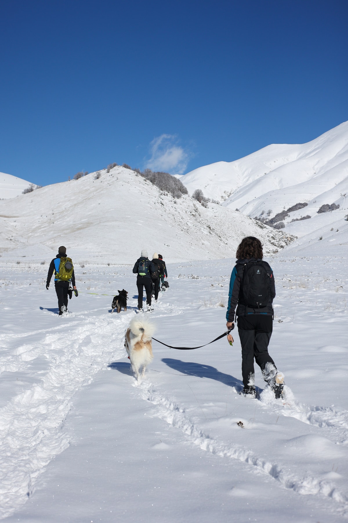 Excursion to Castelluccio di Norcia