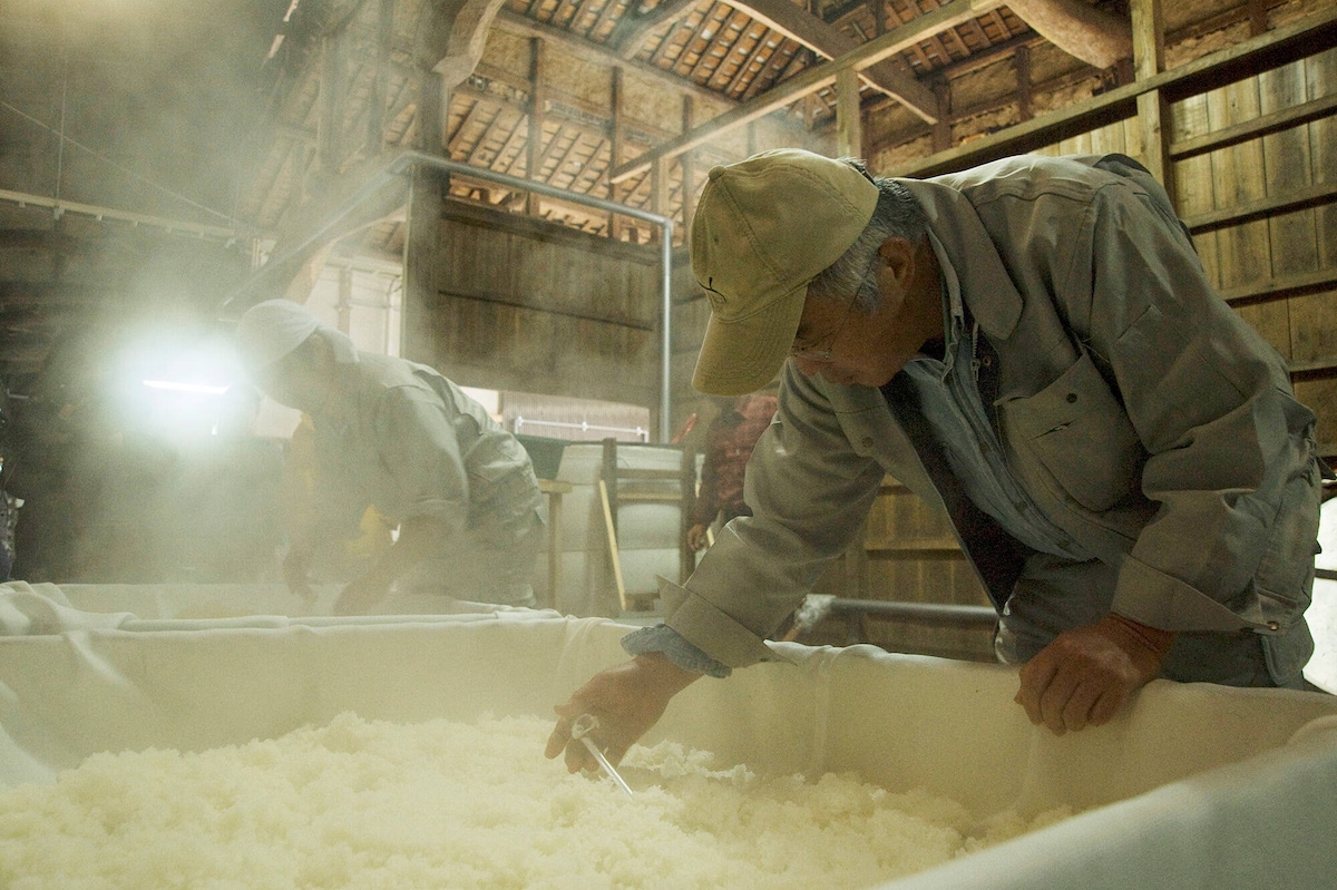 Experience at Komatsu Sake Brewery 
Sake tasting & brewery tour