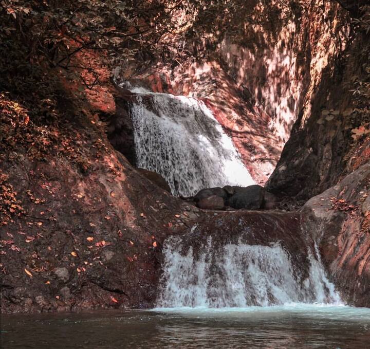 Promenade dans la nature, baignade en rivière et pique-nique