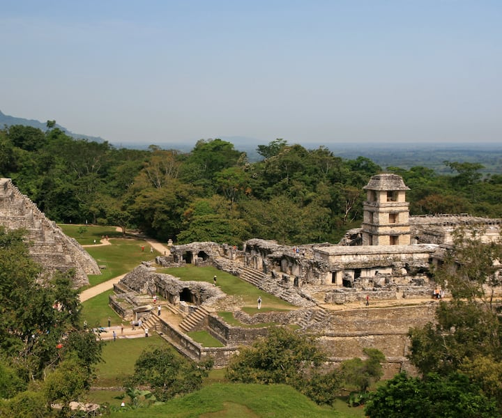 Explora las majestuosas ruinas de Palenque con un guía