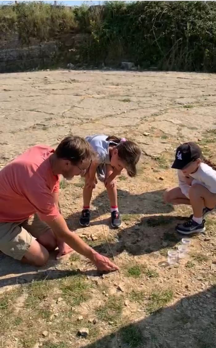 Fossil Hunting and Dinosaurs on the Jurassic Coast