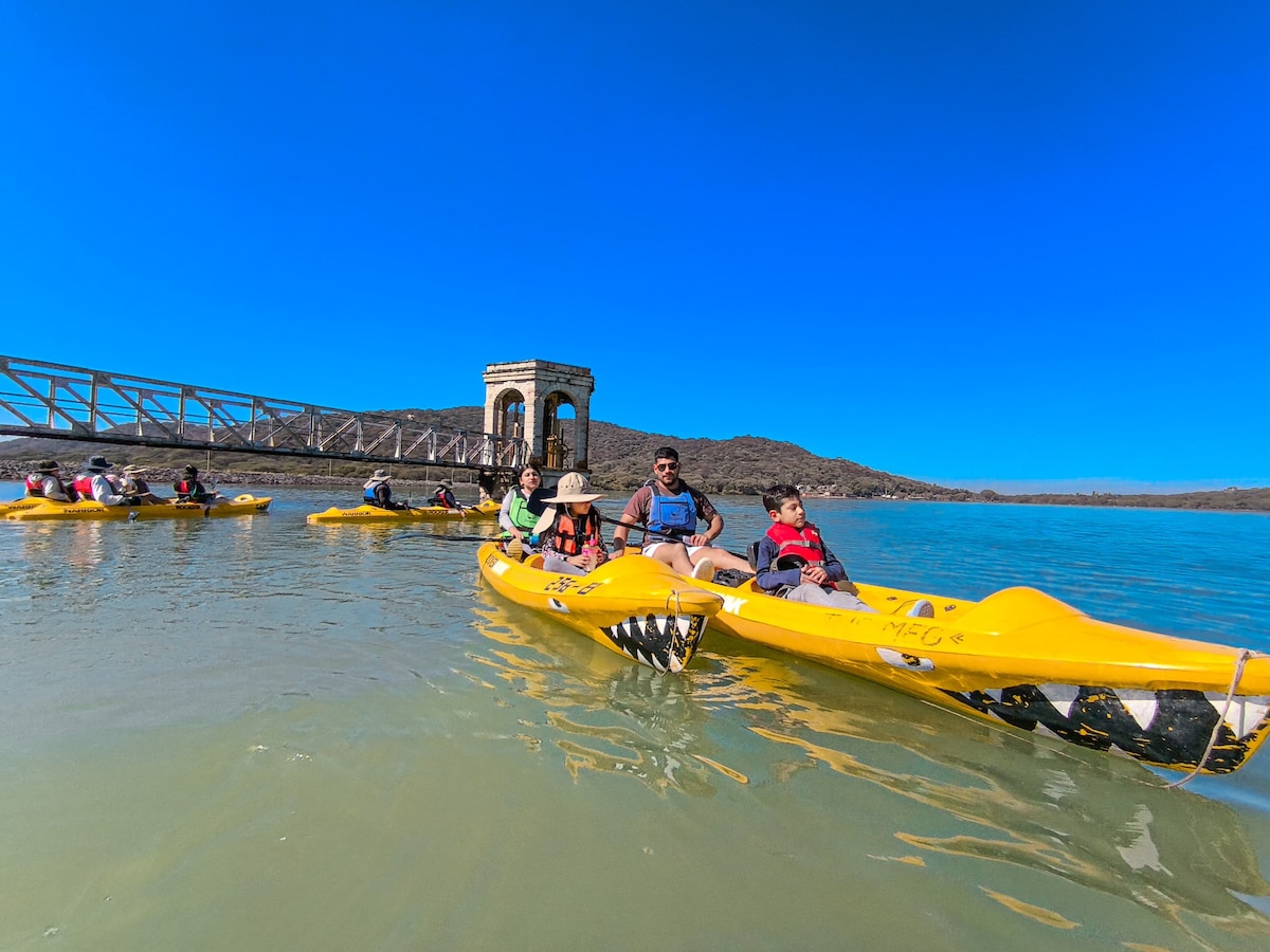 Kayak to discover the flora and fauna