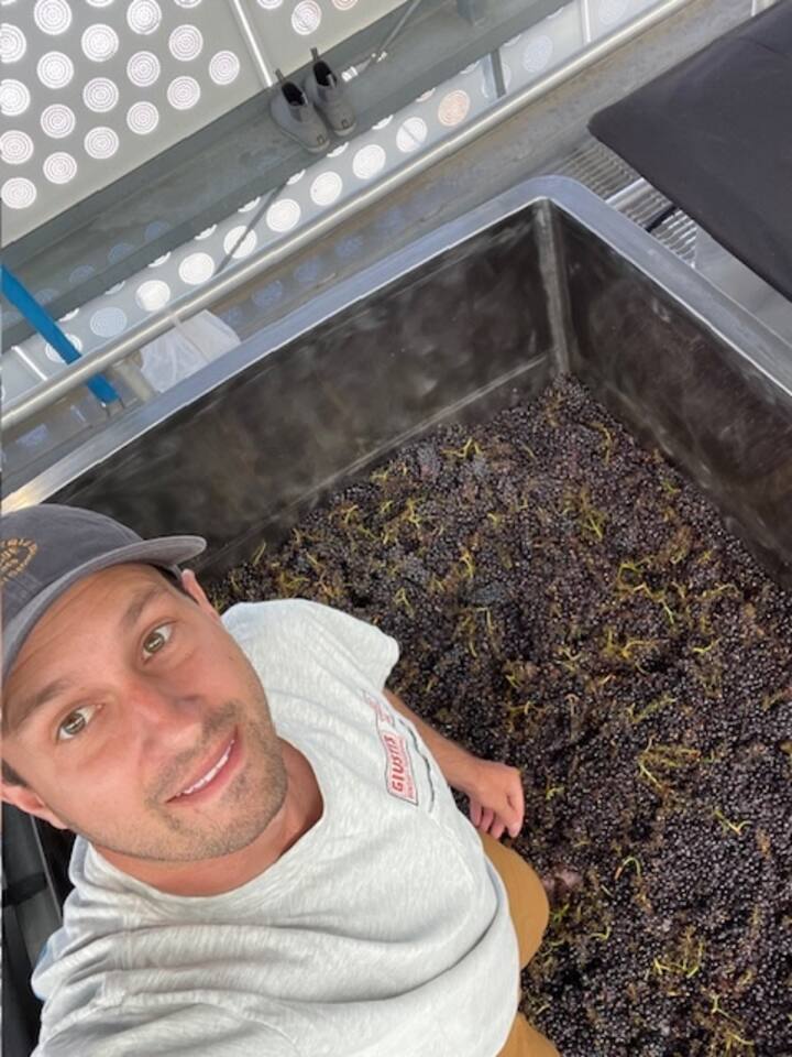 დააგემოვნეთ კალიფორნიული ღვინო მეღვინესთან ერთად