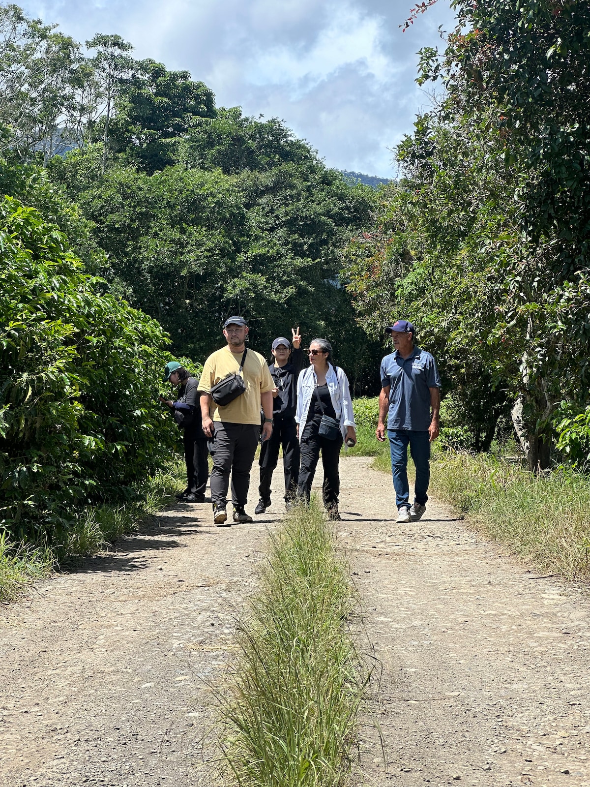 Coffee Farm & Tasting Experience at Las Piedritas
