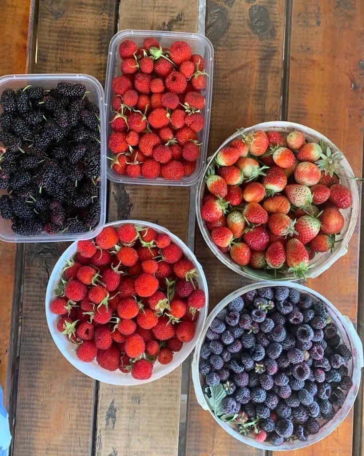 Explore Uluguru Mountains