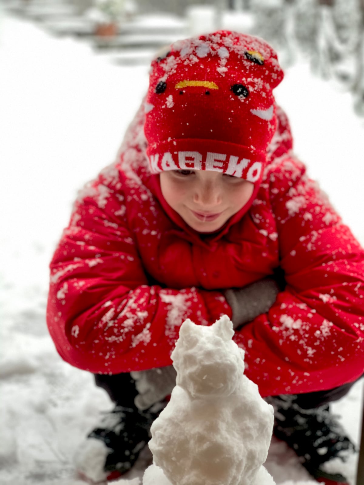 Choose your own no-FOMO foodie adventure in Hida