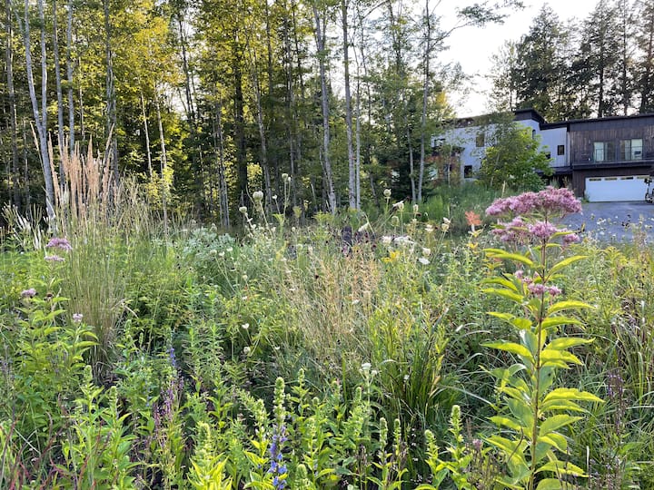 Eksploro një kopsht të projektuar me mjeshtëri