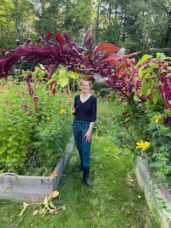 Explore a masterfully designed garden