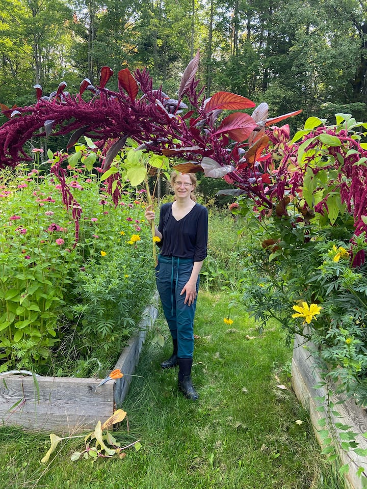 Eksploro një kopsht të projektuar me mjeshtëri