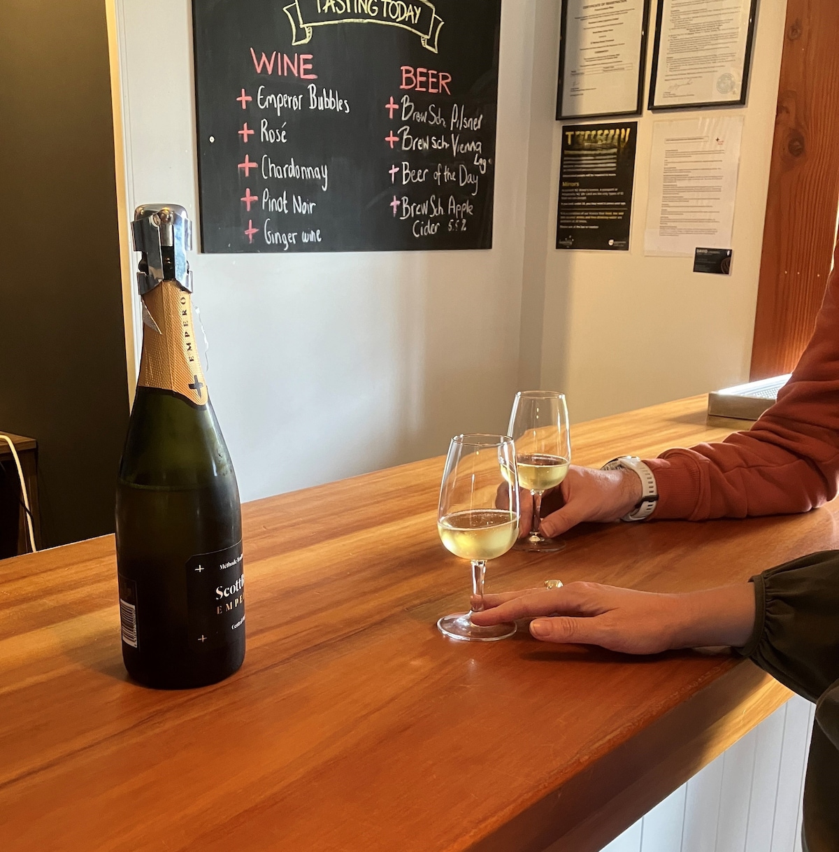 Private Alexandra Full Day Wine Tour ex Qtn/Wka