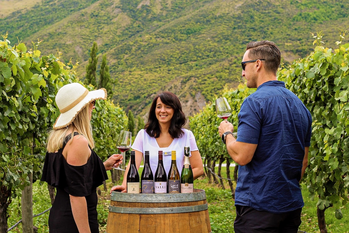 Classic Wine Tour - Departs Queenstown