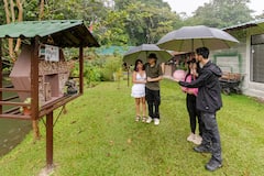 咖啡、蜂蜜和巧克力之旅