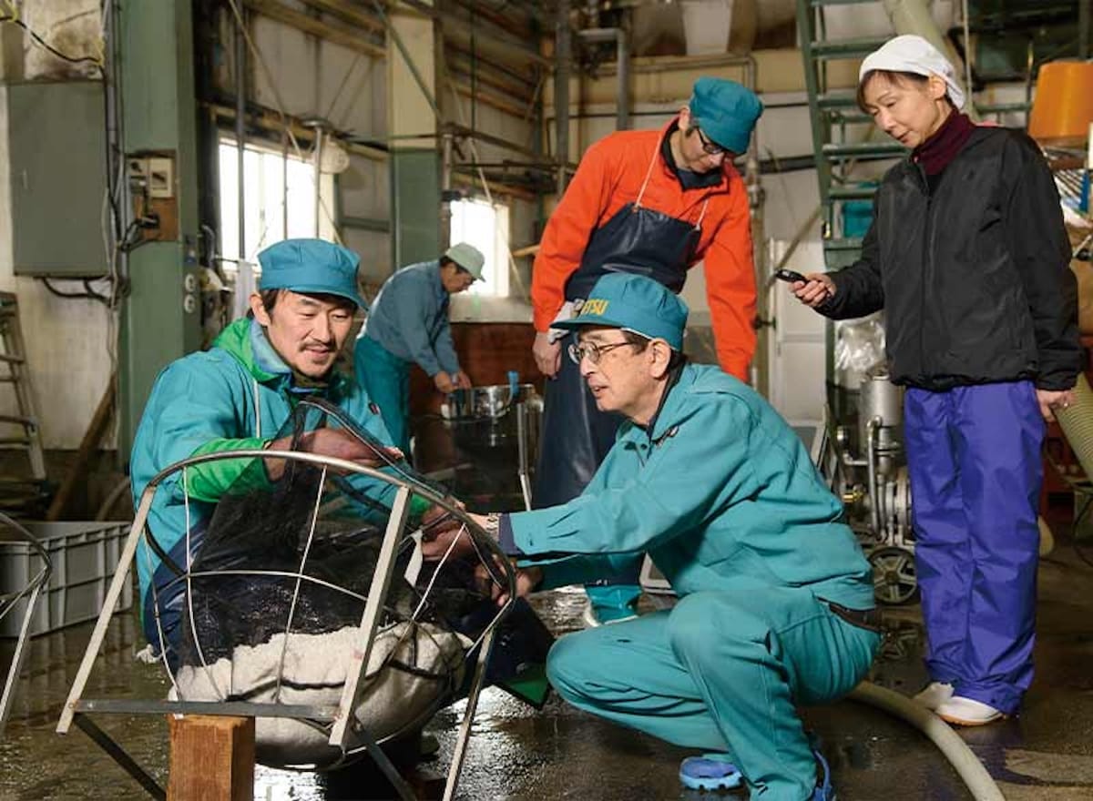 Experience in Koshu 
Sake tasting & brewery tour