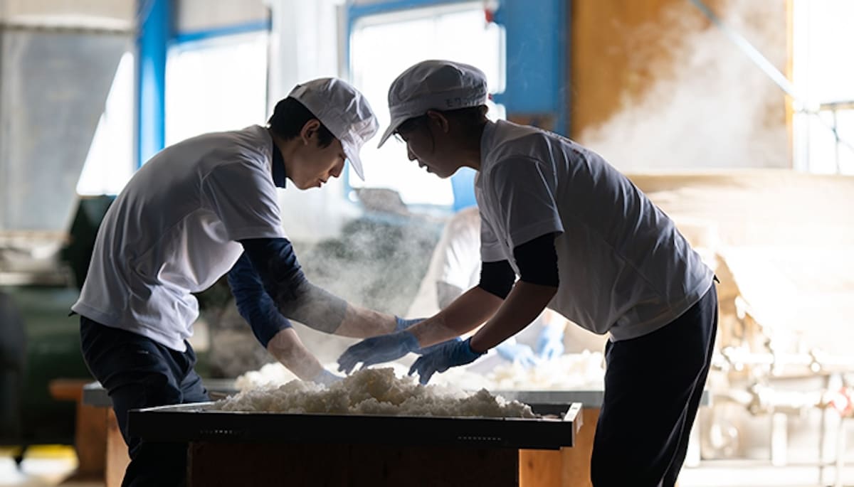 Experience at Yoshida Brewery 
Sake tasting & brewery tour