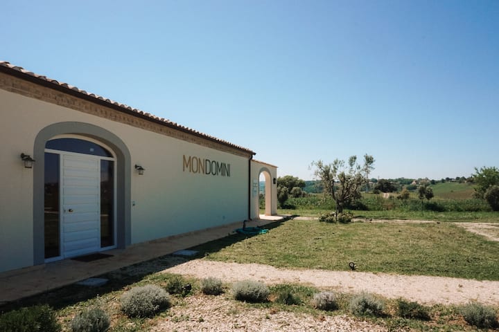 Entre miles de olivos degustación de pan y aceite de oliva virgen extra