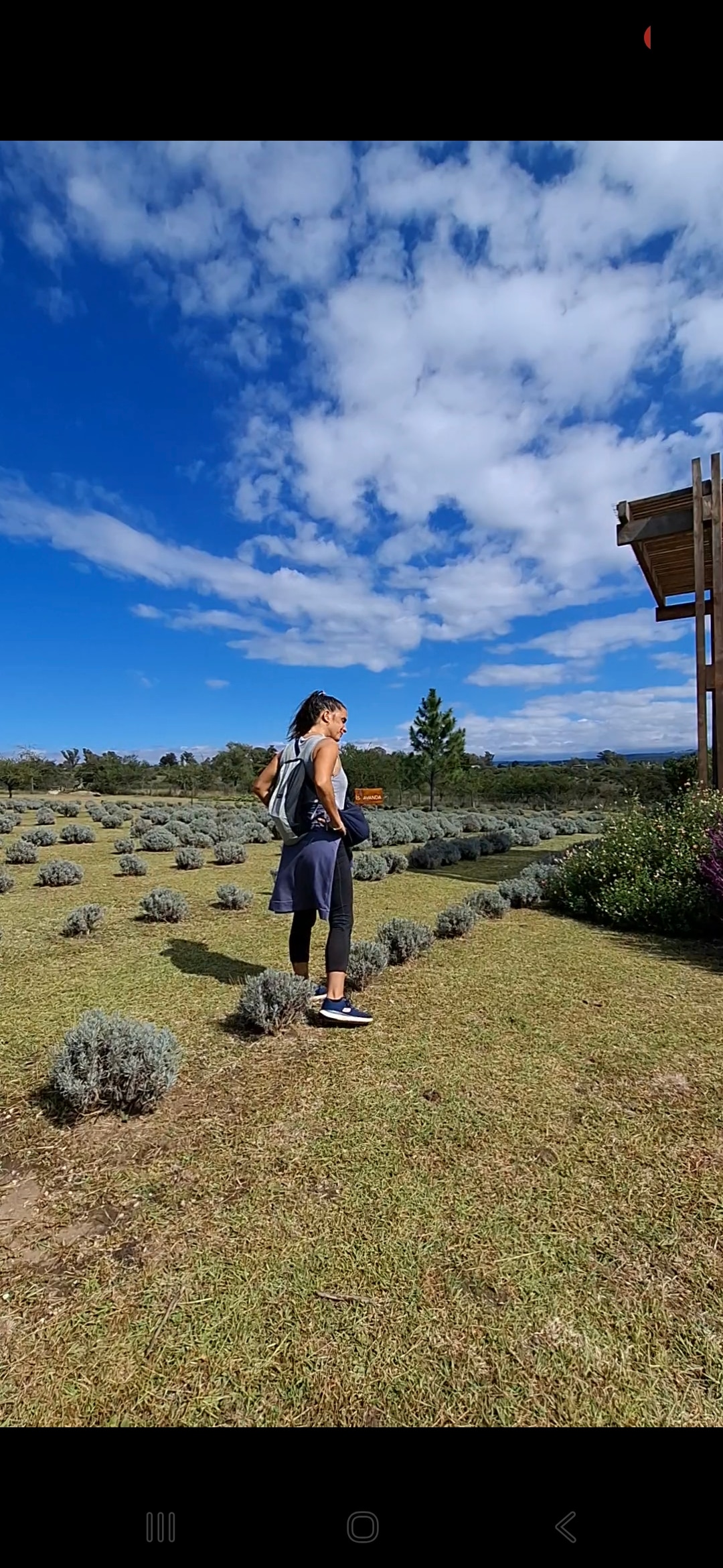 Bike & Lavender: an experience for the senses