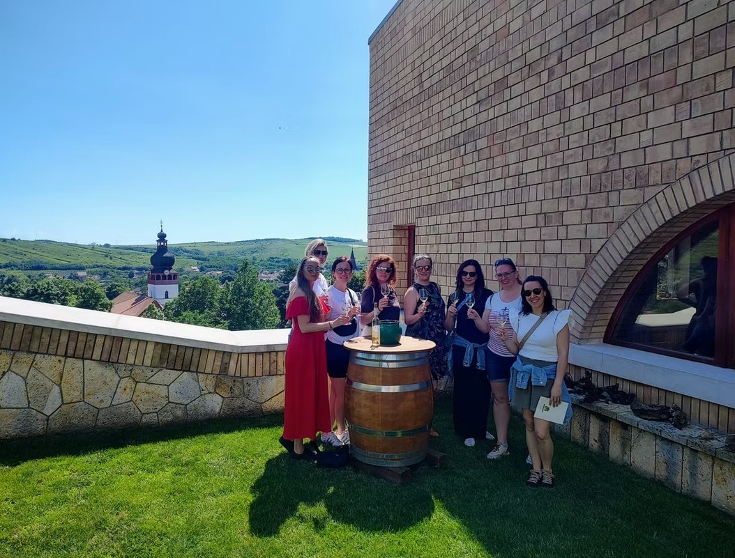 Wine tasting tour in Tokaj wine region