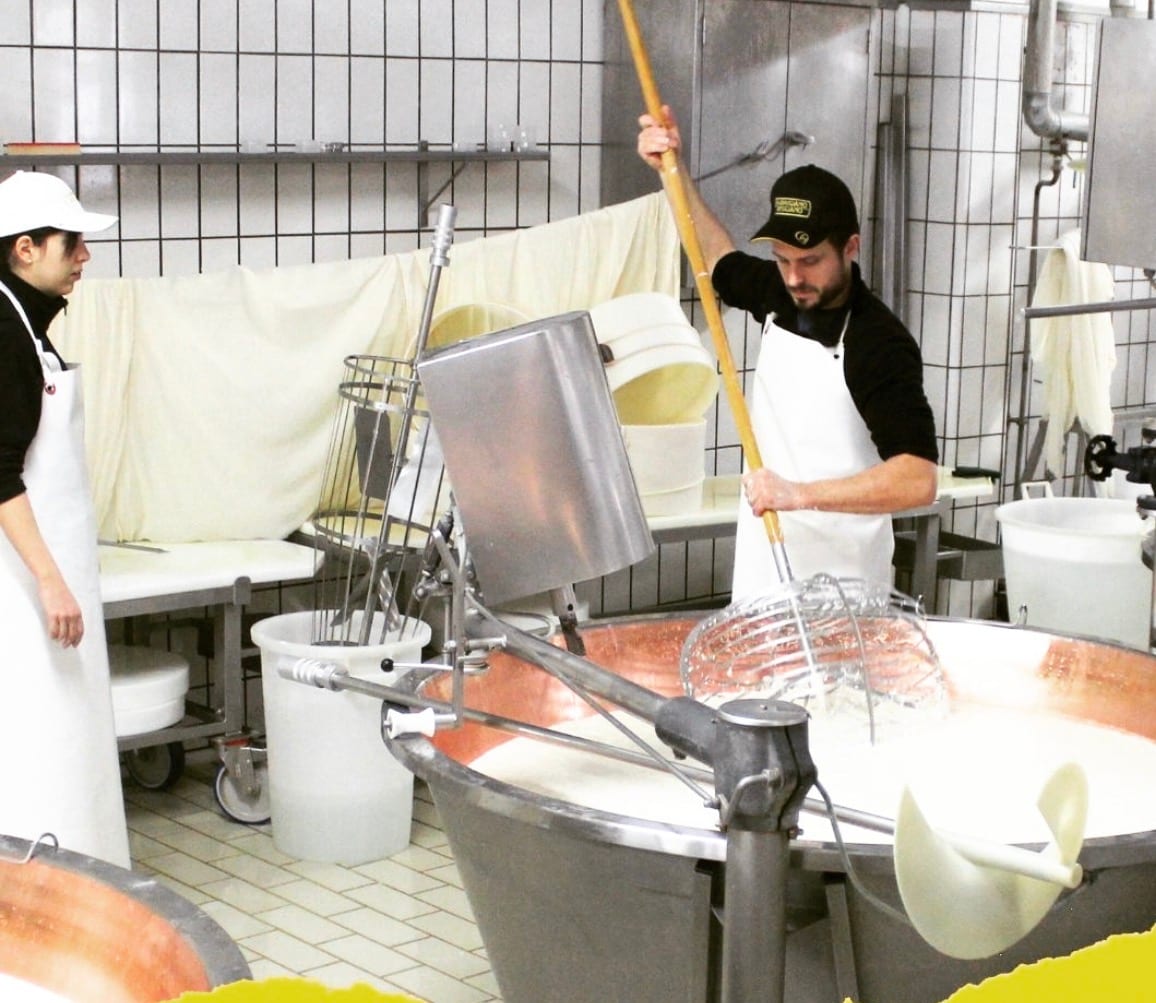 Cheesemaker for a day and tasting