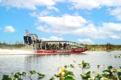 Recorridos en hidrodeslizador por los Everglades