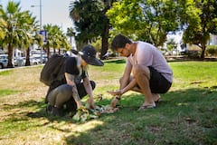 חוויית הליכה בוויניה דל מאר