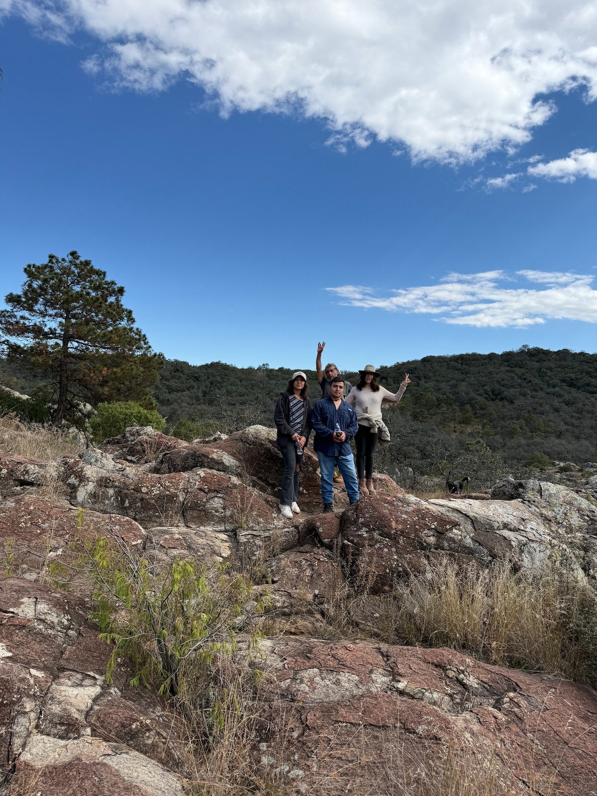 Walk among the secrets of the Forest in Huasca